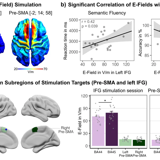 📚 New preprint on the roles of left IFG and pre-SMA in semantic and executive control