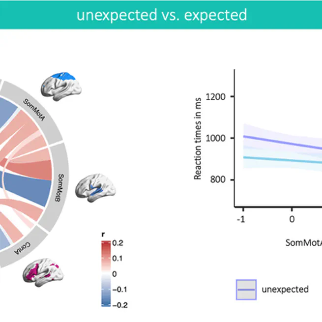 📚 New article out in Human Brain Mapping