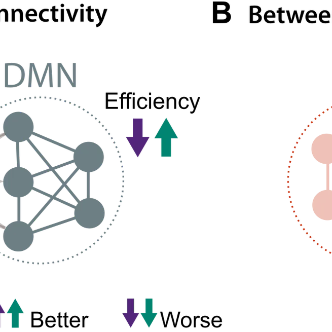 Semantic Cognition across the Adult Lifespan