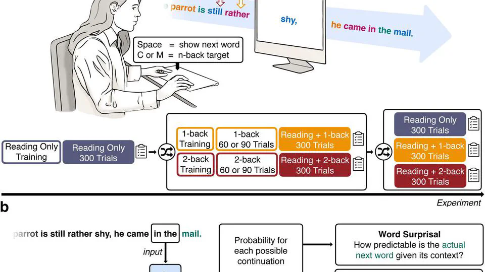 Language Predictability across the Adult Lifespan