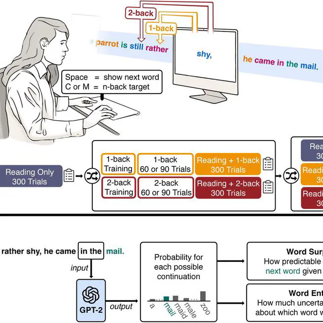 Language Predictability across the Adult Lifespan