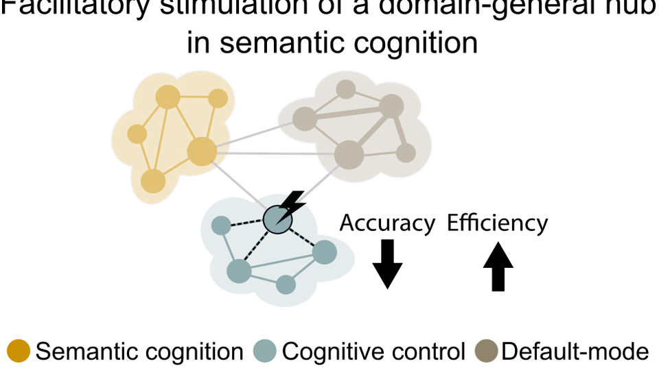 The Causal Role of the Multiple-Demand Network in Semantic and Domain-General Control