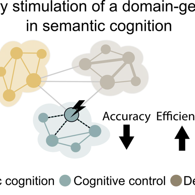 The Causal Role of the Multiple-Demand Network in Semantic and Domain-General Control