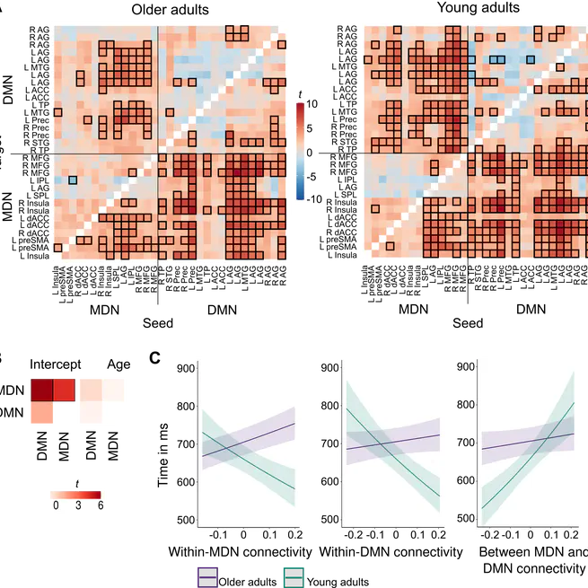 Age-Dependent Contribution of Domain-General Networks to Semantic Cognition