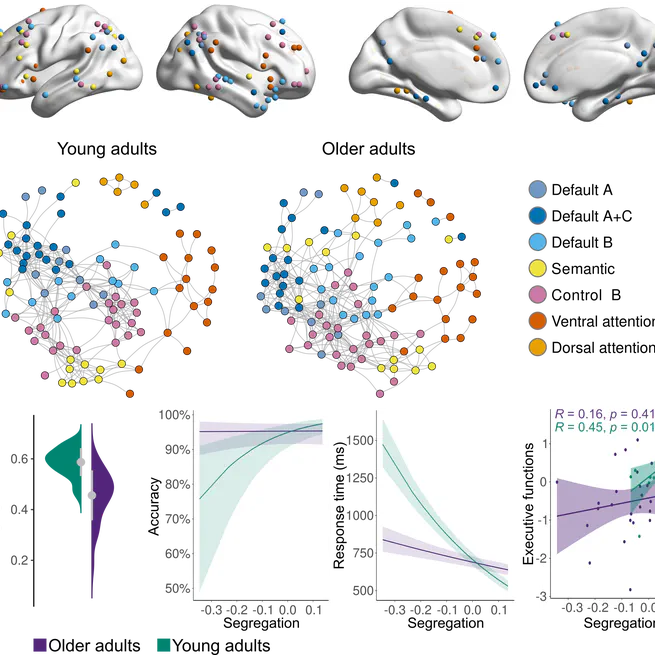 Age-Related Reorganization of Functional Network Architecture in Semantic Cognition